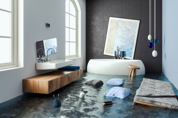 Best Water damage contractors near me  in Cana, VA