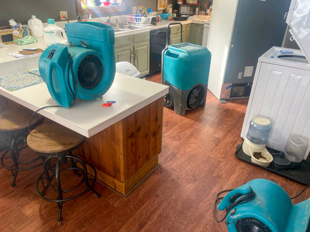 Reliable Cana, VA Water damage restoration Solutions