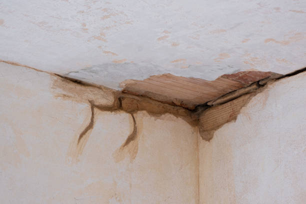 Trusted Cana, VA Water damage restoration Experts