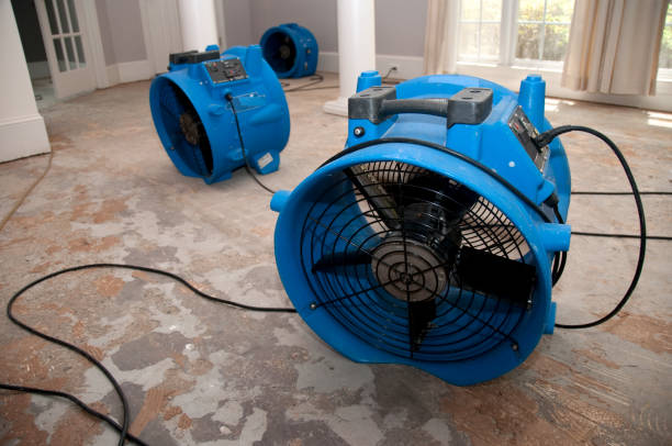 Best Flooded house restoration  in Cana, VA