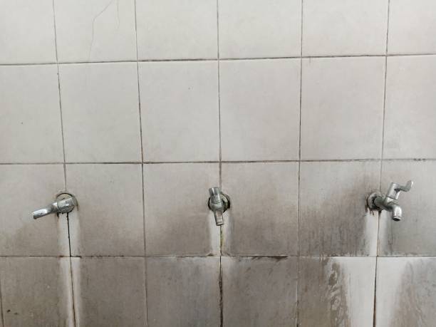Best Water damage cleanup near me  in Cana, VA