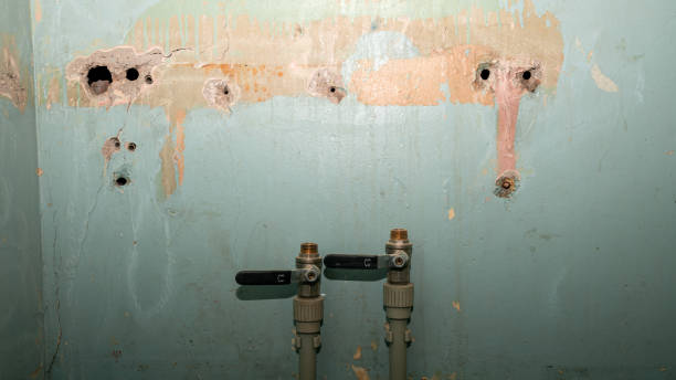 Water damage restoration mold remediation in Cana, VA