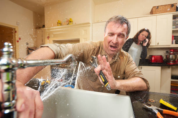 Best Mold removal after water damage  in Cana, VA